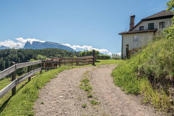 A dirt path leading to a wooden fence, a house with a chimney, and a mountain in the background. - Apartment 'Sallrain Hof 2' with Mountain View & Balcony (Klobenstein)