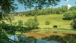 Ein friedlicher Teich, umgeben von üppiger Vegetation und Bäumen, mit einem Holzzaun und einem kleinen Gebäude im Hintergrund.