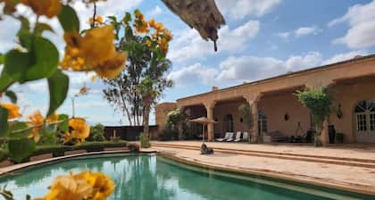 SUPERB BERBER PALACE surrounded of ATLAS MOUNTAINS