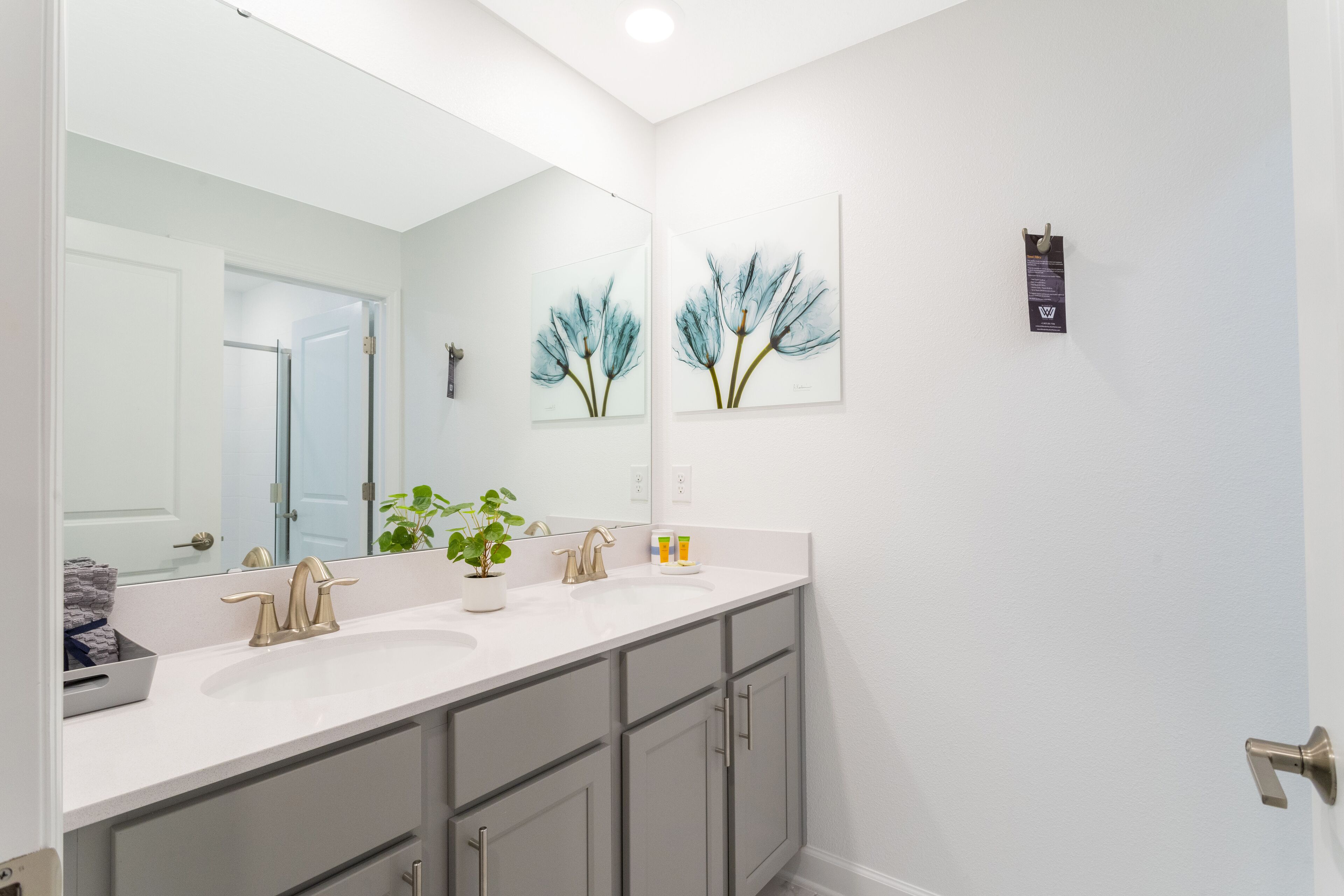 Un baño con un lavabo blanco, dos llaves, un espejo y una planta en maceta.