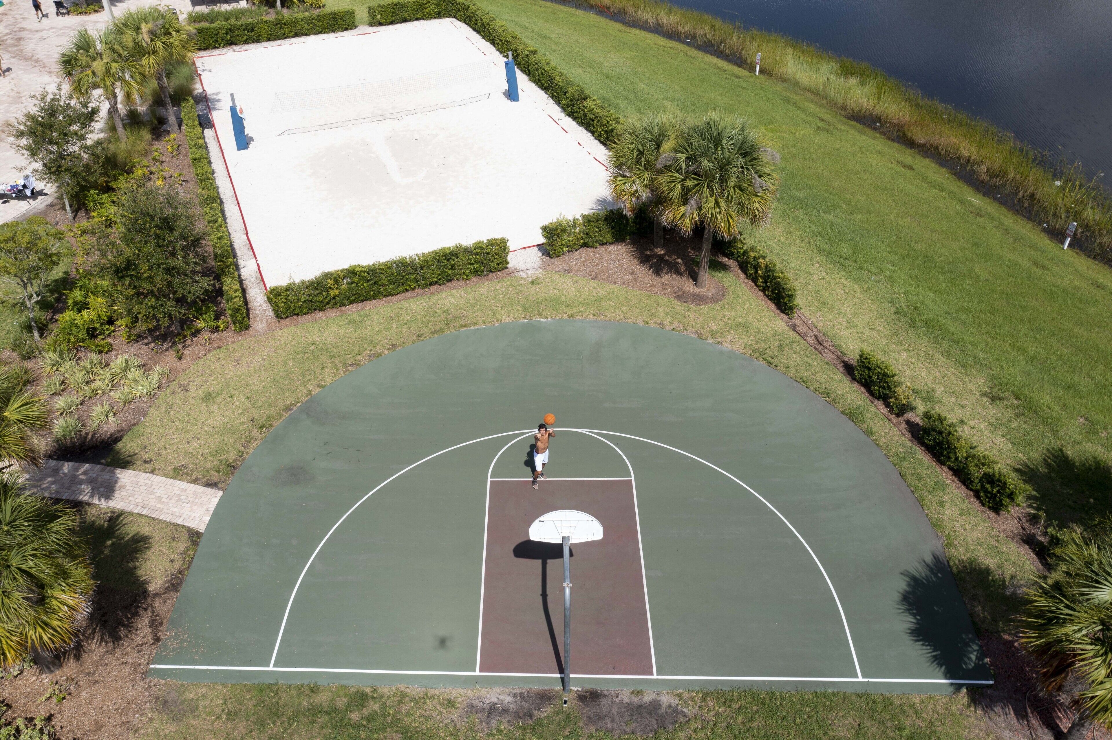 An outdoor basketball court with a net, surrounded by grass and palm trees.