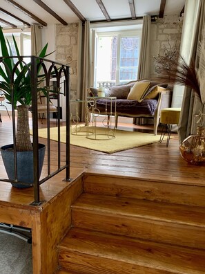 TV connectée, cheminée, lecteur de DVD, livres