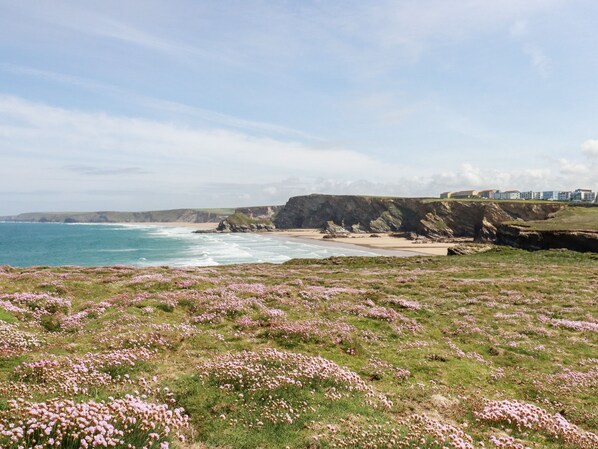 Cottage | Beach | Beach nearby - Porth Cove (Newquay)