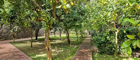 Villa | 7 Schlafzimmer, Schreibtisch, Bügeleisen/Bügelbrett, WLAN