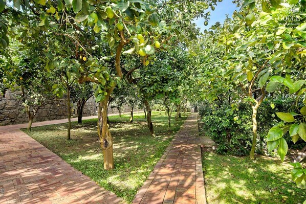 Villa | 7 Schlafzimmer, Schreibtisch, Bügeleisen/Bügelbrett, WLAN