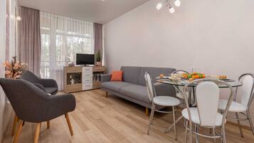Fernseher, Arbeitsbereiche