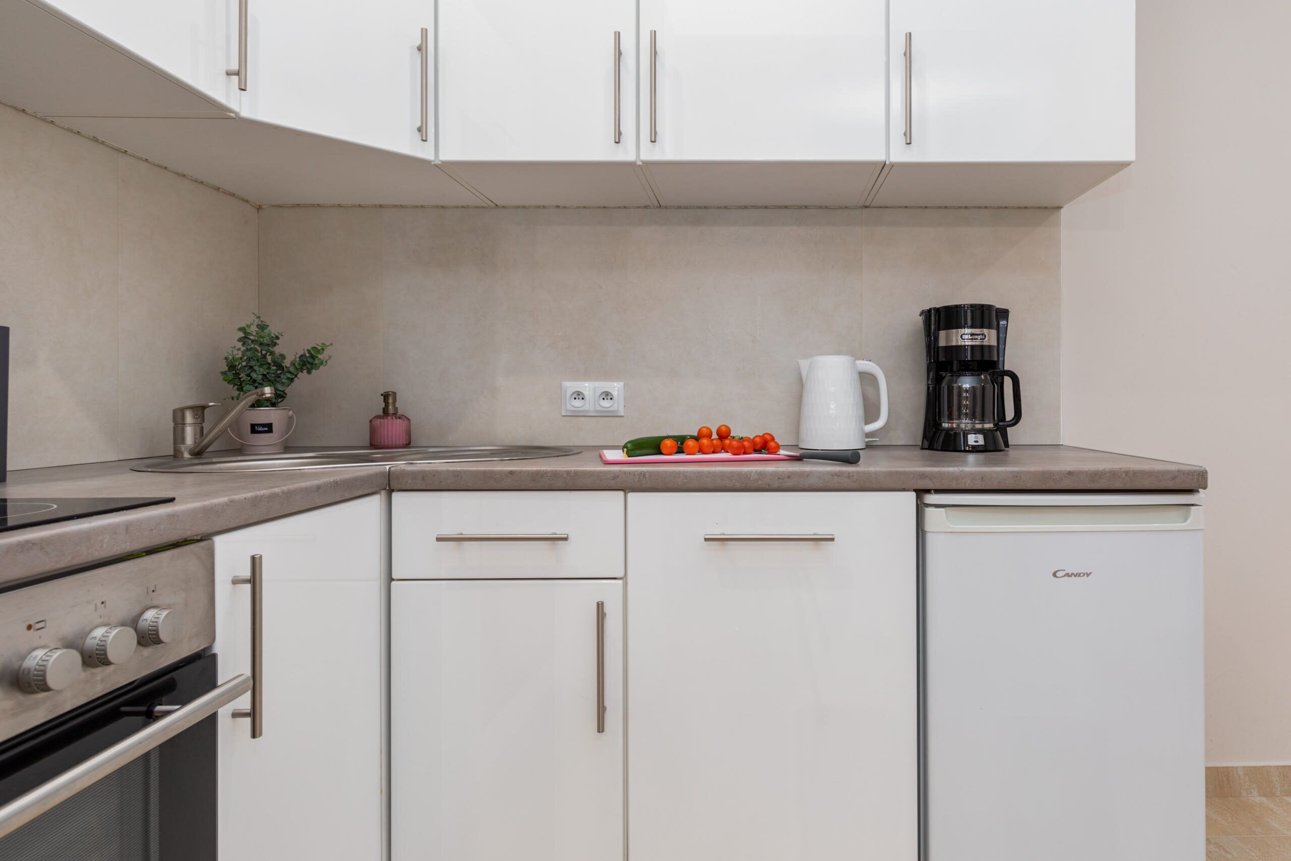 Fridge, oven, stovetop, coffee/tea maker