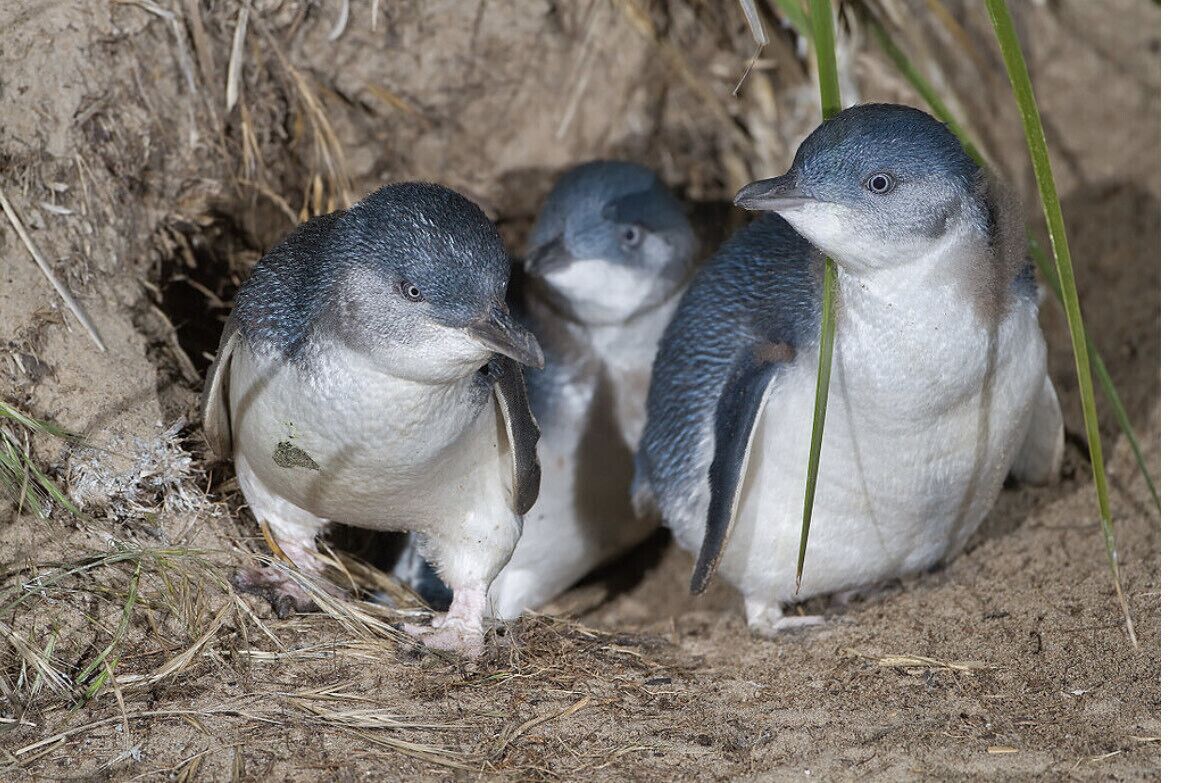 Luxury mansion loft by the beach — image 20