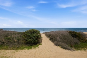 A sandy beach path leading to the ocean, surrounded by dense shrubbery.