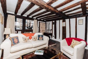 Una televisión, una chimenea