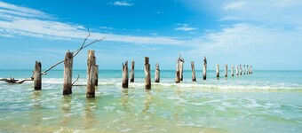 Steps to the Sand, Dive into the Pool – Live the Dream!"