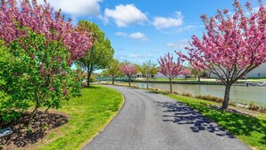 A paved pathway flanked by blooming trees and a body of water. - Watch the Fireworks From Your Balcony!!! (Ocean City)