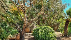 Ein Garten mit verschiedenen Pflanzen, einer Steinmauer und einem Baum.