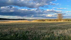 A wide-open field with a clear sky and scattered clouds. - Last minute offer vacation apartment directly on the lake, near Berlin (Lünow)