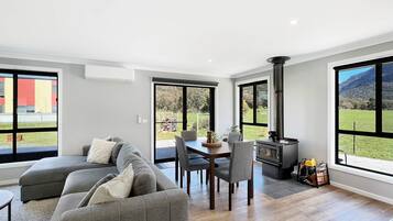 TV, fireplace, DVD player