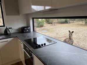 Une cuisine équipée d’une cuisinière intégrée, d’une bouilloire et d’un grille-pain. Une fenêtre offre une vue sur un espace verdoyant et sur un kangourou.