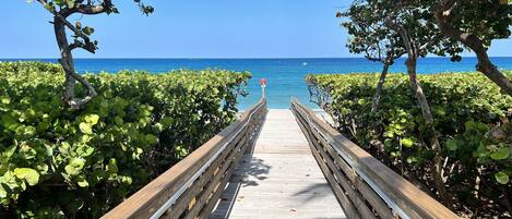 Plage à proximité, chaises longues, serviettes de plage