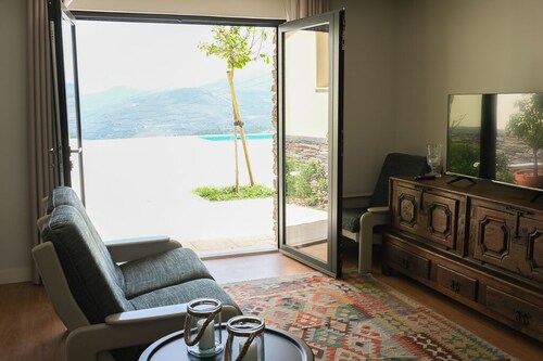 Villa overlooking the Douro River with Swimming Pool and Tennis Court