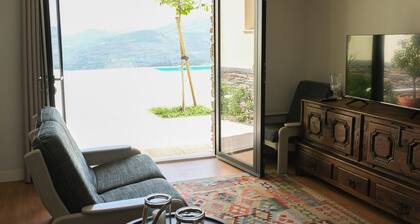 Villa overlooking the Douro River with Swimming Pool and Tennis Court