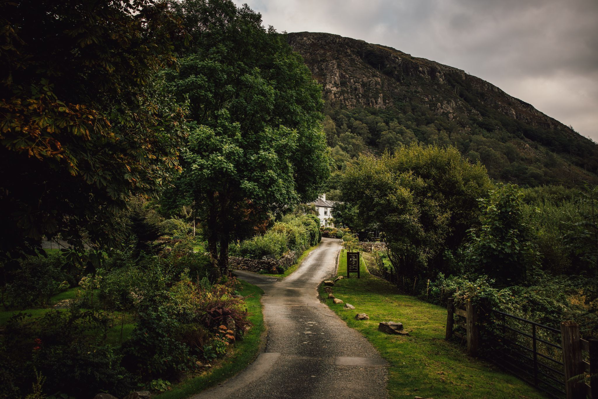 A narrow, winding road flanked by lush greenery and a mountain in the background.