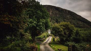 A narrow, winding road flanked by lush greenery and a mountain in the background.