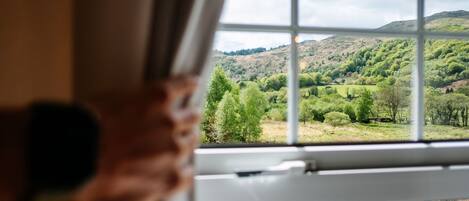 A window with a view of a green landscape with trees and hills.