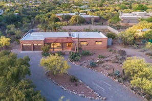 A two-story house with a garage, surrounded by a landscaped garden with various plants and a paved driveway.
