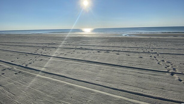 En strand med fodaftryk og solskin.