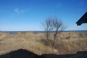 Blick auf einen Strand mit einer Holzkonstruktion und einem baumlosen Baum im Vordergrund.