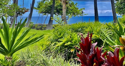 Garden View Studio - Kona Islander Inn Condos Condo by RedAwning
