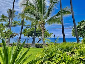 Studio | Property grounds - Garden View Studio - Kona Islander Inn Condos Condo by RedAwning (Kailua-Kona)