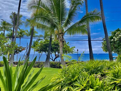 Garden View 开间 - Kona Islander Inn 公寓公寓 by RedAwning