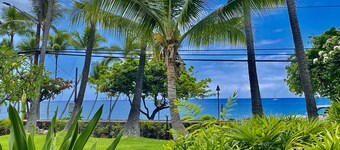 Garden View Studio - Kona Islander Inn Condos Condo by RedAwning