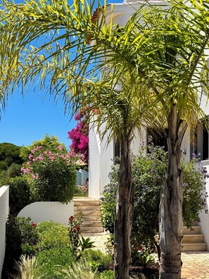 Property grounds - 2 bed room apartment with direct Pool access and terrace (Olhos de Água)