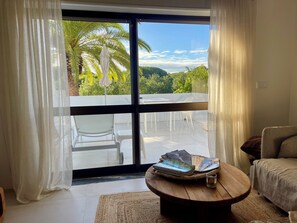 Smart TV, fireplace, books