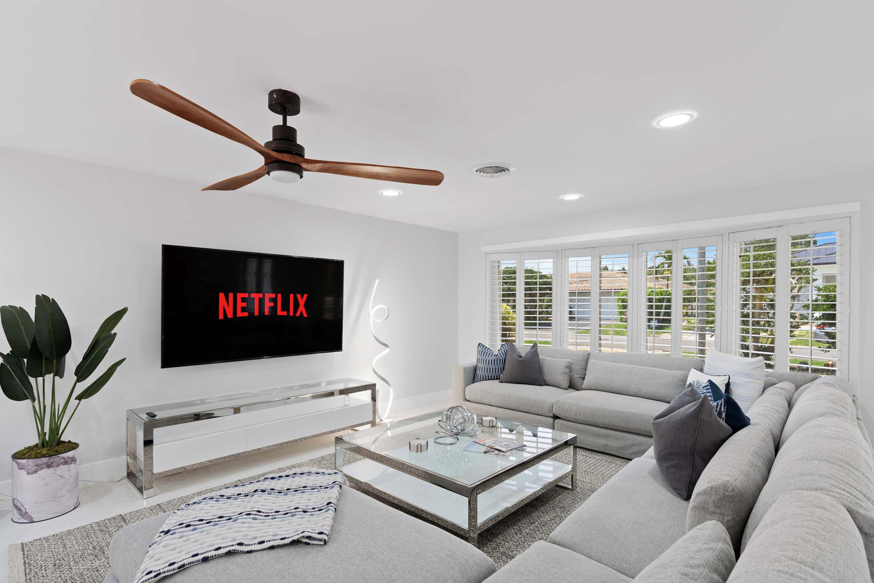A modern living room with a ceiling fan, a flat-screen TV, a sofa, a coffee table, and a potted plant.