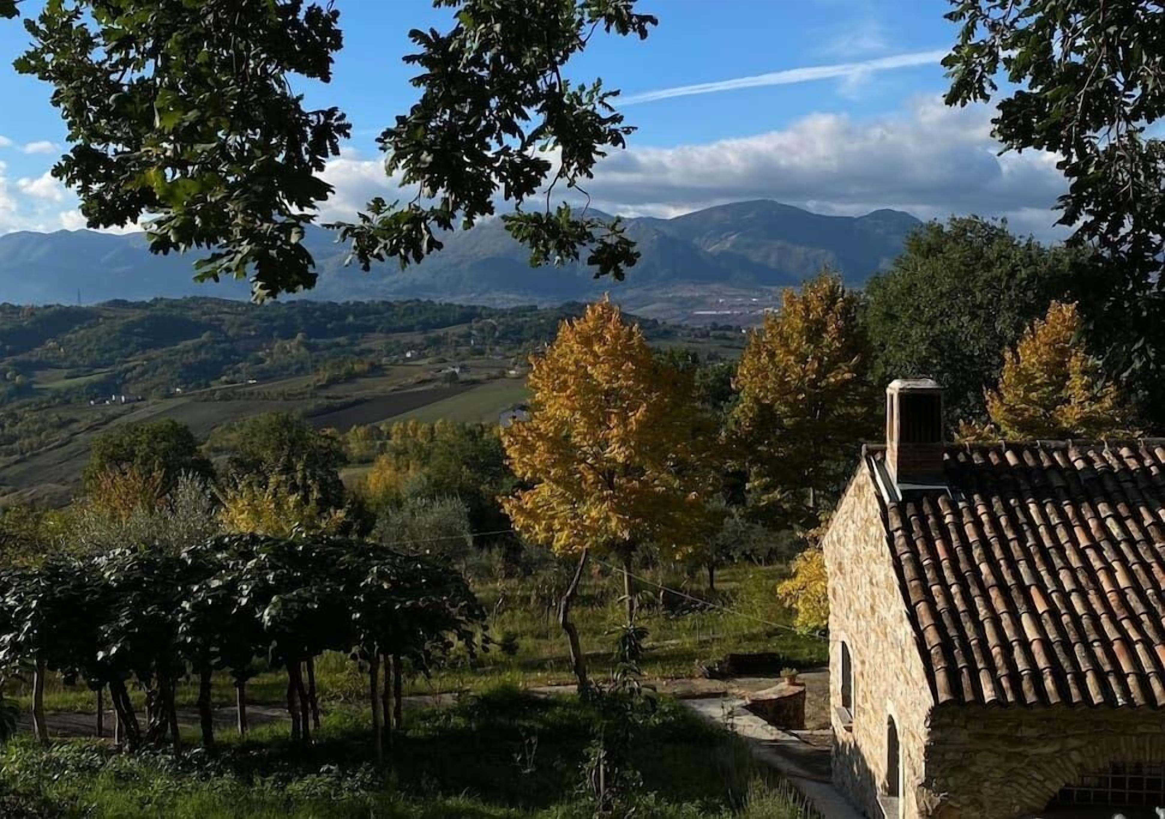 Un bâtiment rustique en pierre, avec un toit en tuiles, entouré d’arbres et offrant une vue sur des montagnes lointaines.