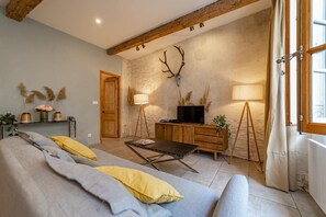 Books, offices, computer monitors - 🏛️ Flat close to Maison Carrée - ⭐⭐⭐ (Nîmes)