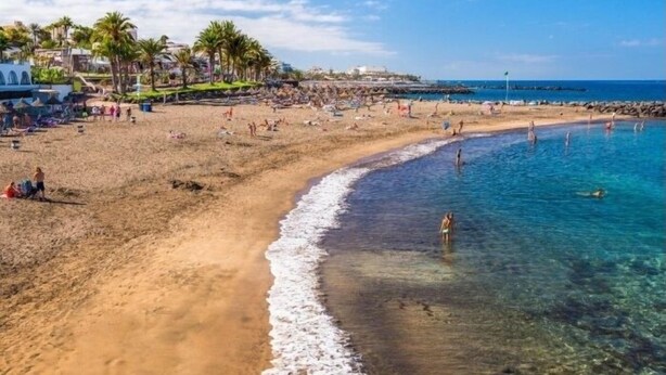 Une plage avec une eau cristalline, des palmiers et une jetée en arrière-plan.