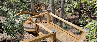 Peaceful Mountain Cabin Nestled on 3.5 Acres - Multi-Tier Deck, Creek Access!