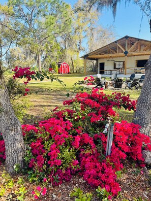 Área da propriedade