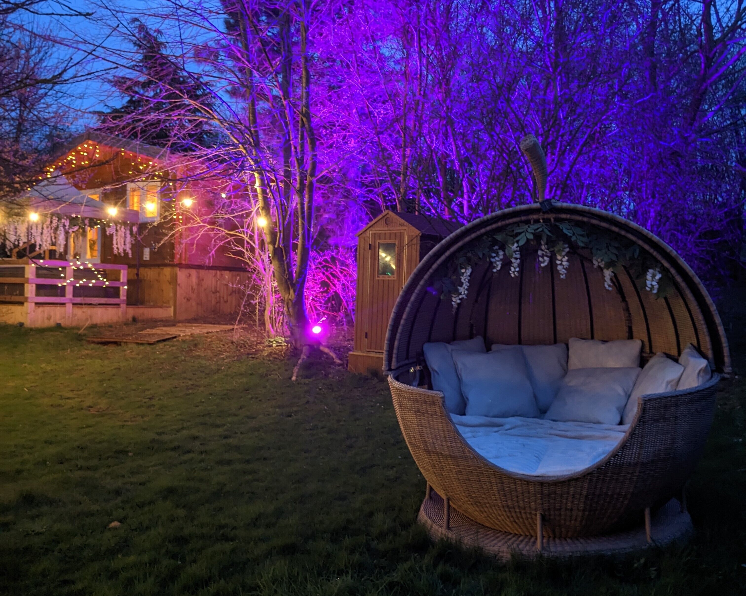 Studio, 1 King Bed | Property grounds