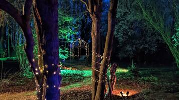 Studio, 1 King Bed | Property grounds