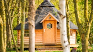A wooden cabin with a hexagonal window and a door, surrounded by trees.