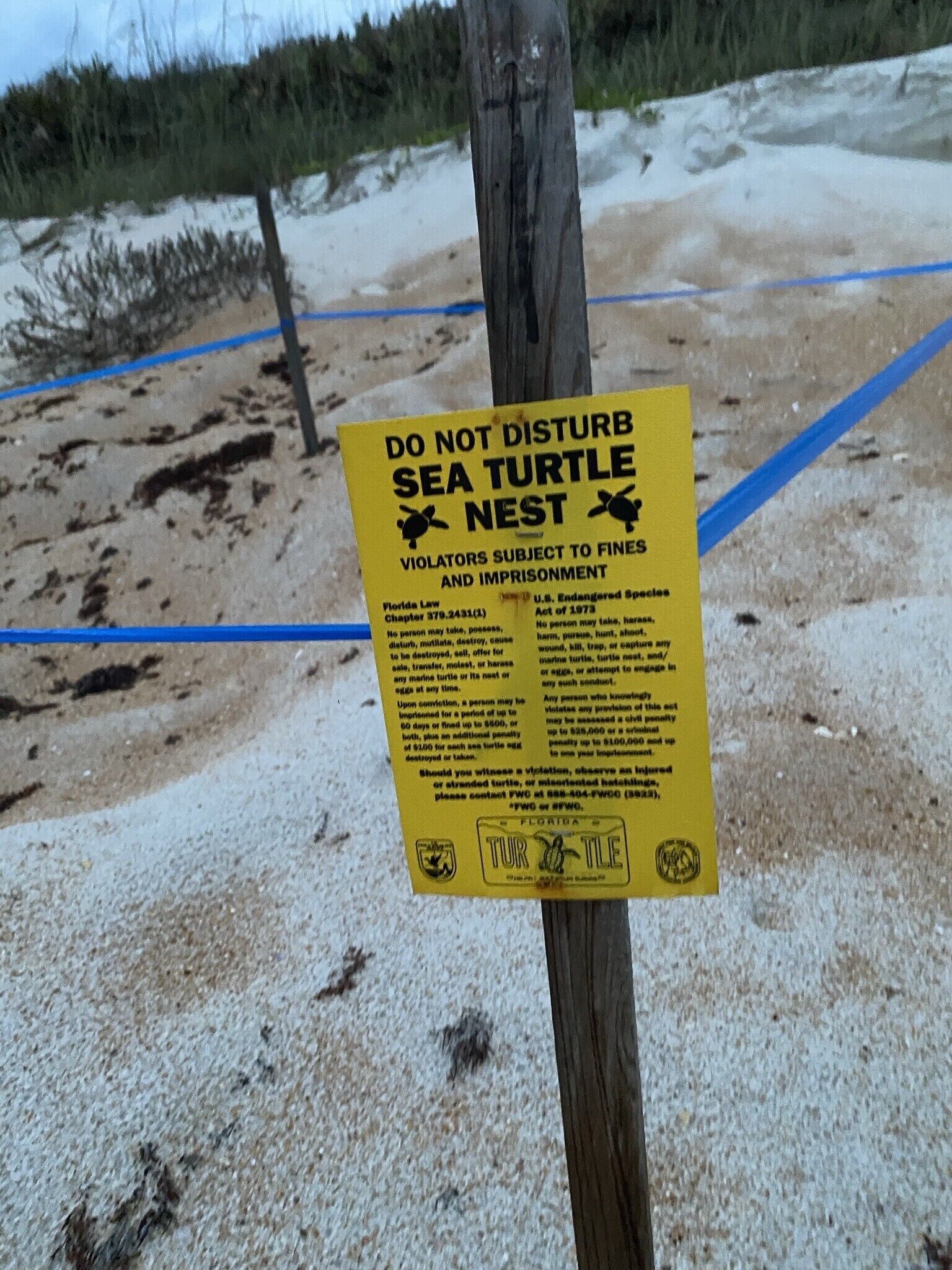 Un panneau d’avertissement interdisant de déranger les nids de tortues marines, avec mention des conséquences juridiques.