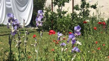 DĂ©tail de lâextĂ©rieur