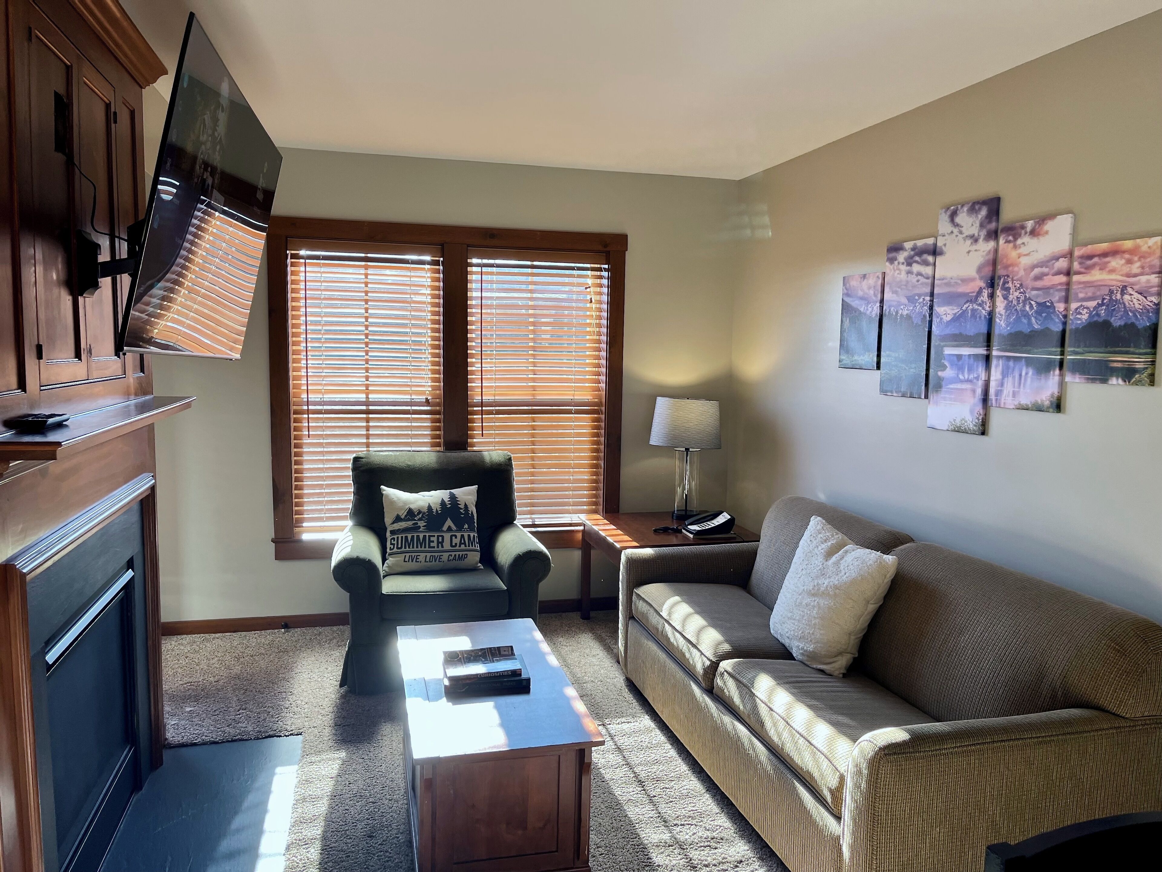 TV, fireplace
