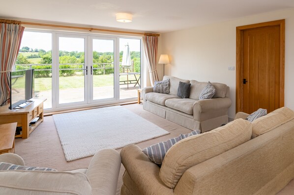 تلفزيون، خدمات بث