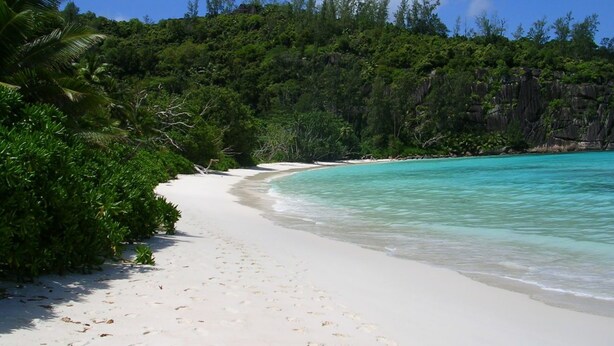 Una playa de arena blanca, agua turquesa cristalina y exuberante vegetación verde.