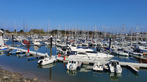 Marina